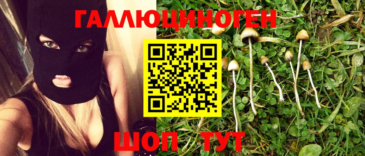 Псилоцибиновые грибы Magic Shrooms  Псилоцибиновые грибы Psilocybine cubensis  Нефтекумск  Вход с VPN 
