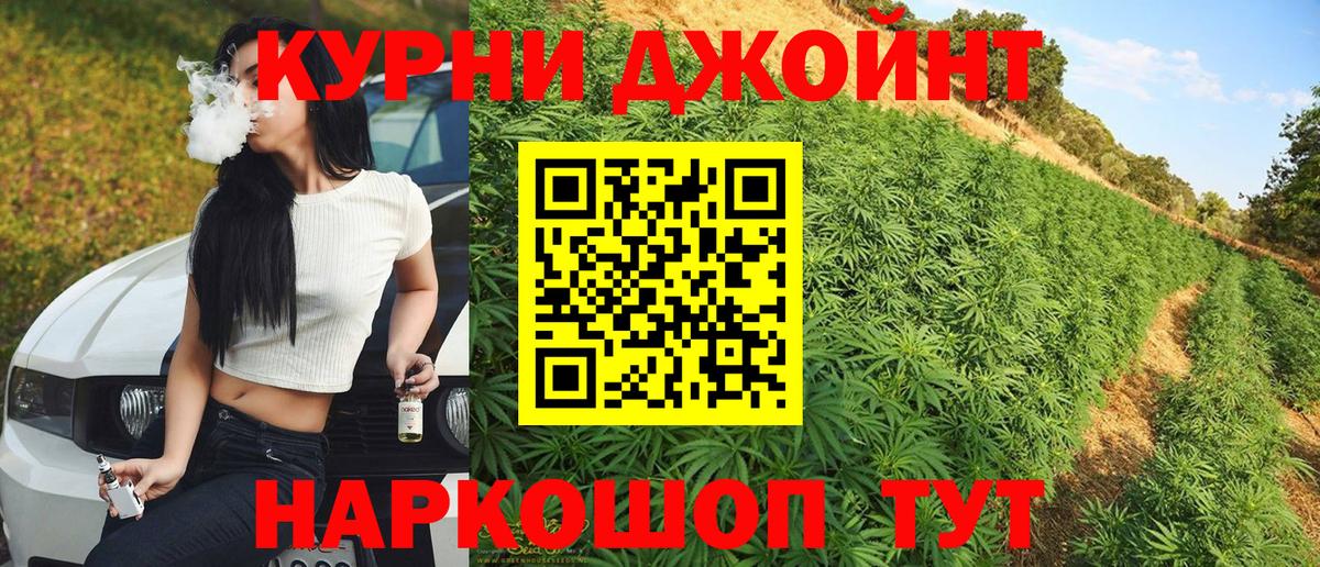 Шишки марихуана планчик  Вход с VPN  Марихуана White Widow  Канабис семена  Нефтекумск  Конопля марихуана 